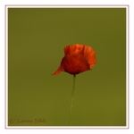 09 Natur